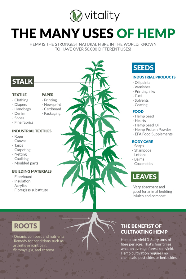 What are all of hemp's various uses