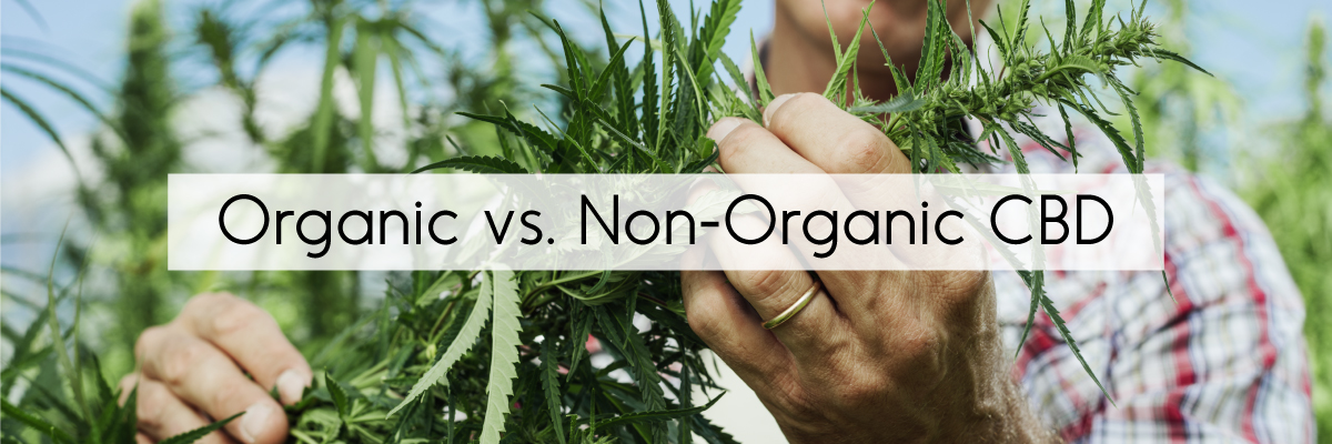 Organic vs. Non-Organic CBD Oil
