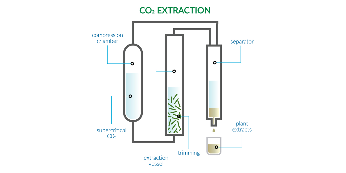 Vitality-CBD-Supercritical-CO2-Extraction-Infographic