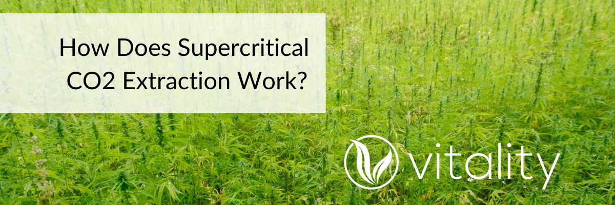 How Does Supercritical CO2 Extraction Work