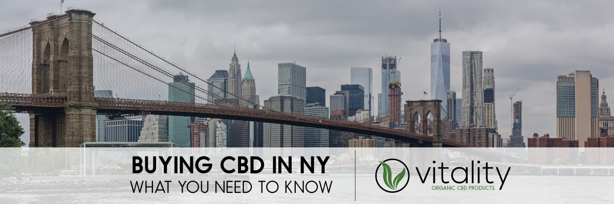 Buying CBD in NY: What You Need to Know