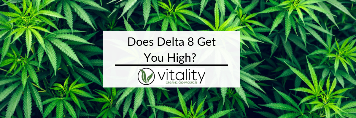 Does Delta 8 Get you High?