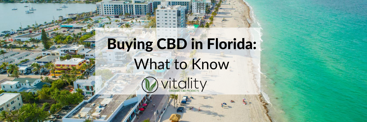 Buying CBD in Florida: What to Know