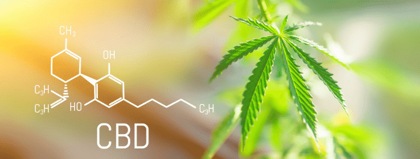 What Are Cannabinoids