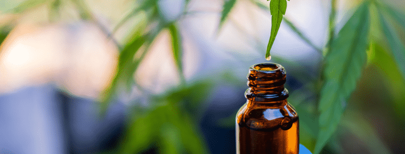 What Does Full Spectrum CBD Really Do