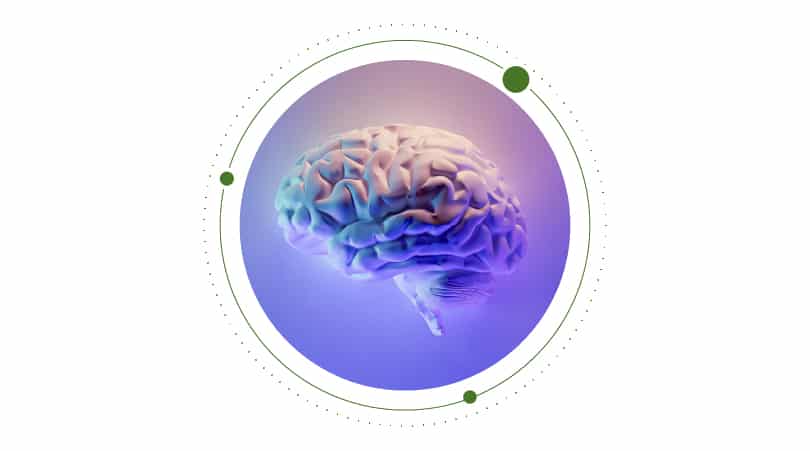 CBD impact on brain