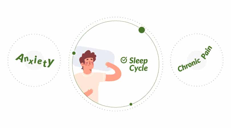 CBD helps with anxiety, sleep cycle and chronic pain