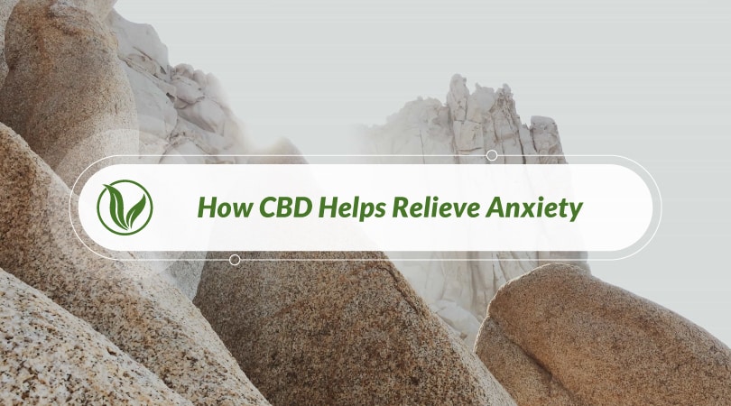 how CBD helps relieve anxiety