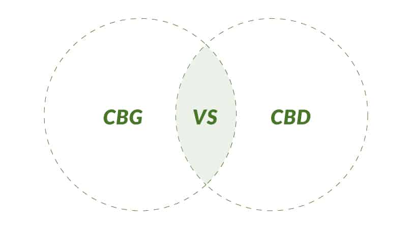 CBG vs CBD