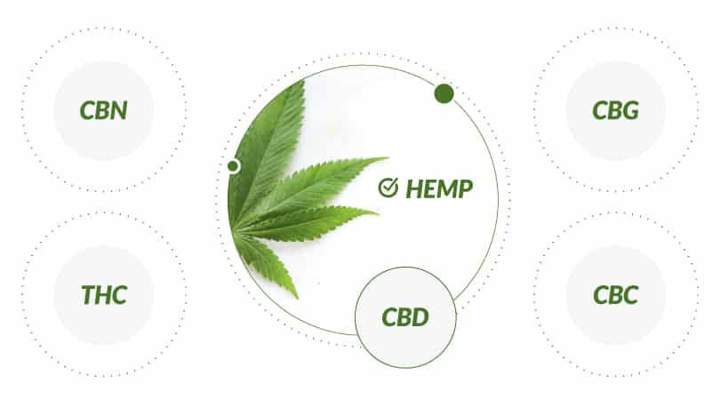 component of full spectrum CBD