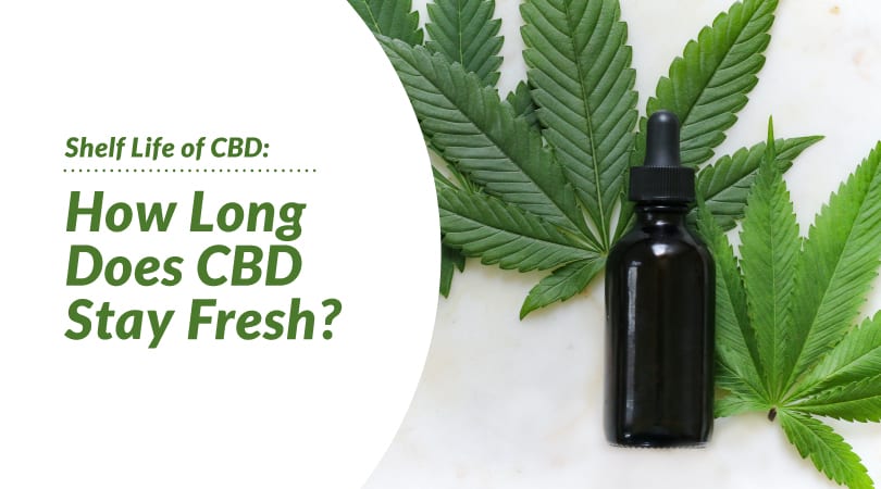 Does CBD Oil Go Bad? Everything You Need to Know about Expiration and Shelf  Life