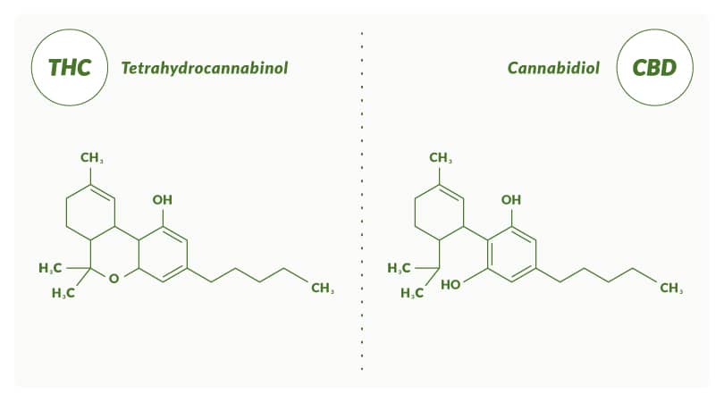 Chemical structure of THC and CBD