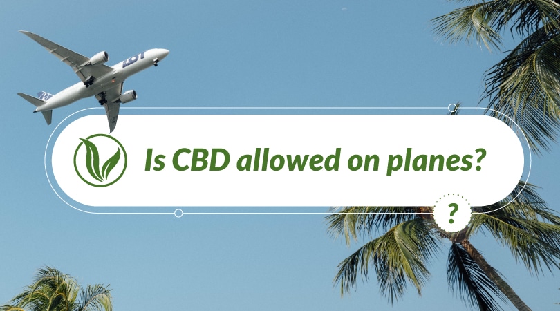 Is CBD allowed on planes?