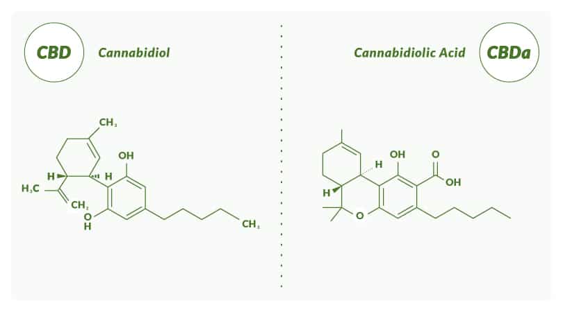 Chemical compositions of CBD and CBDa