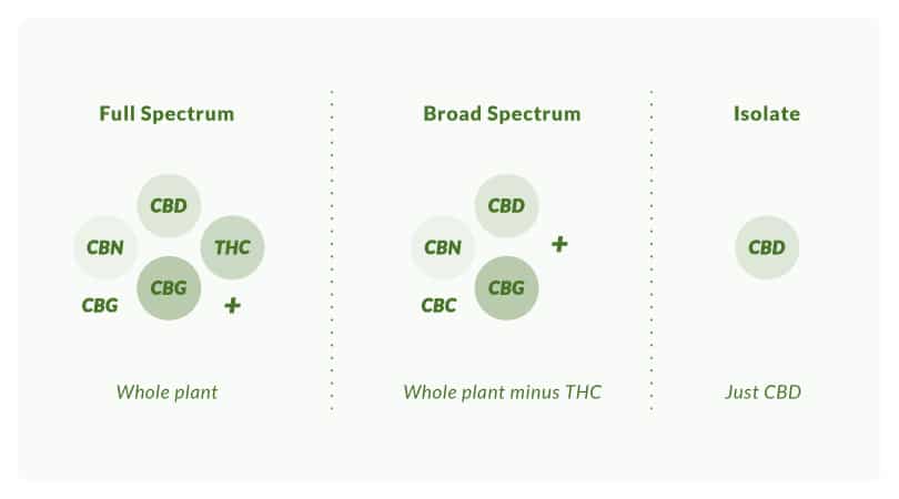 full spectrum, broad spectrum and isolate CBD