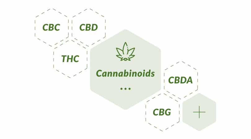 List of some common cannabinoids