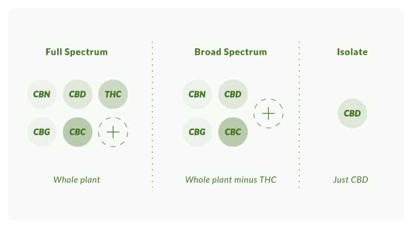 Types of CBD for the entourage effect