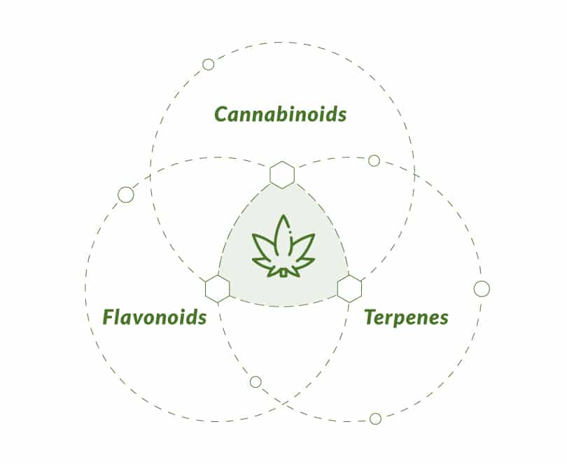 Combination of cannabinoids, terpenes and flavonoids for the entourage effect