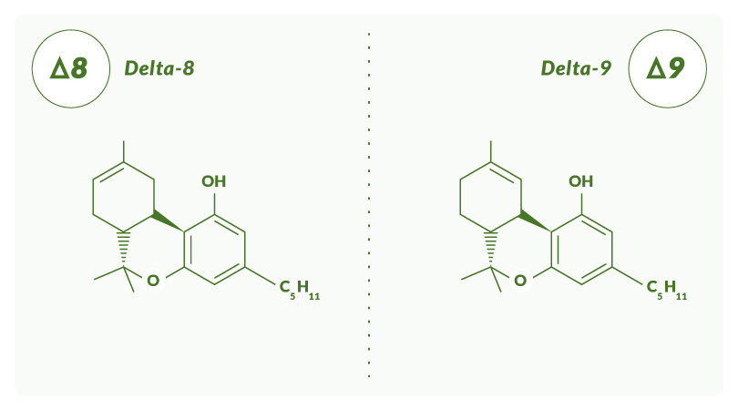 Difference in chemical composition between Delta-8 and Delta-9