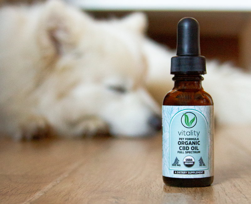 Bottle of Vitality's CBD oil for pets with a dog sleeping in the background.