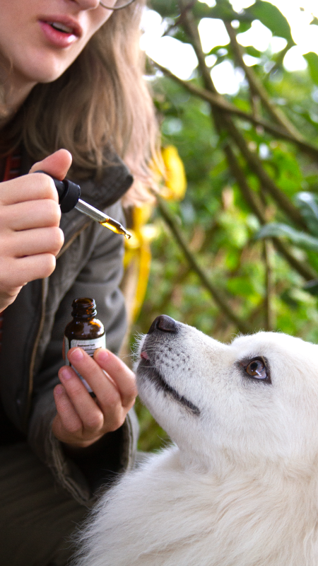 Woman giving Vitality's CBD oil for pets to a dog.