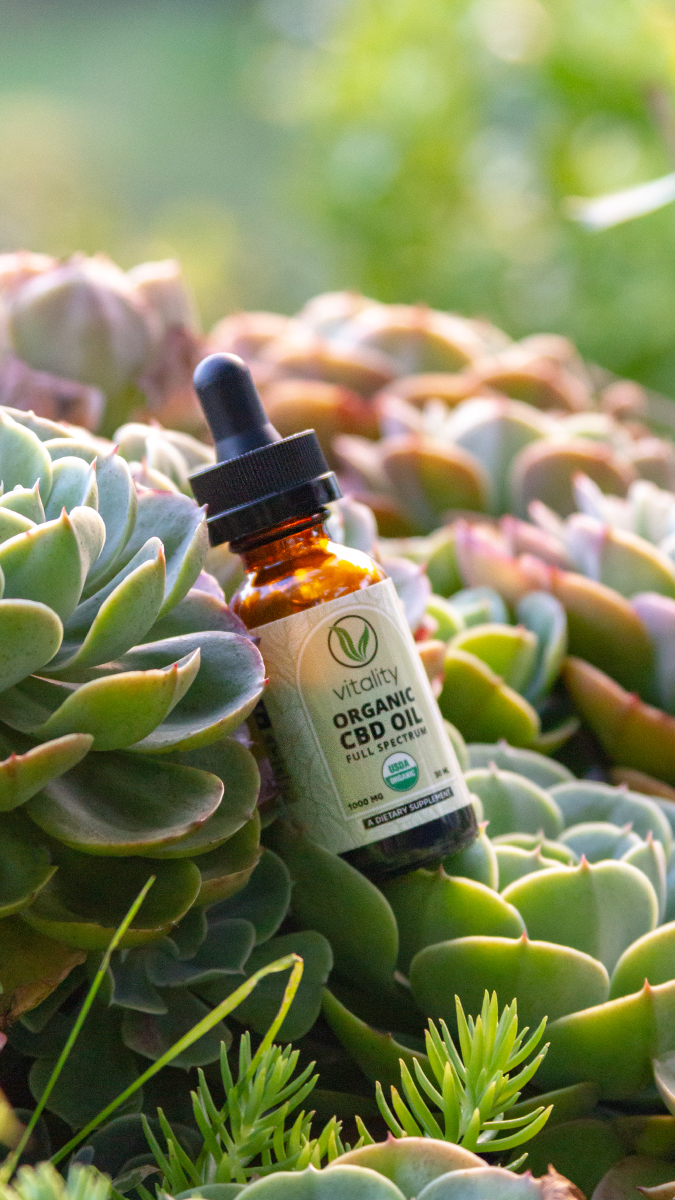 Bottle of CBD oil on top of a cactus
