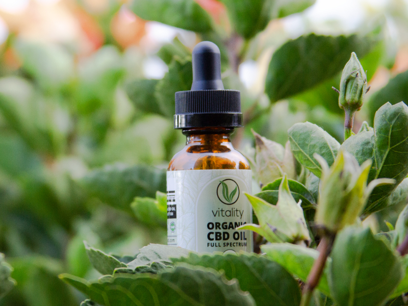 Bottle of Vitality CBD oil on top of some leaves, surrounded by nature