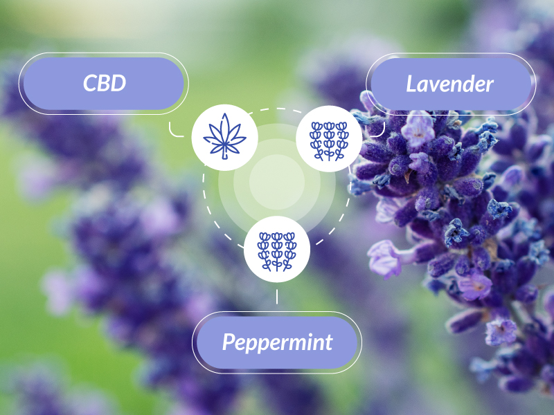 Lavender plant in the background with 3 text boxes juxtaposed: CBD, lavender, and peppermint.