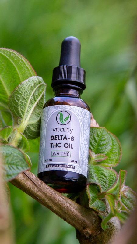 Bottle of Vitality CBD Delta-8 THC oil on top of a tree branch, surrounded by leaves.