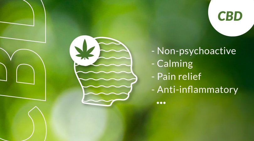 Some characteristics of CBD: - Non-psychoactive - Calming - Pain relief - Anti-inflammatory