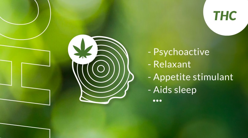 Some characteristics of THC: - Psychoactive - Relaxant - Appetite stimulant - Aids sleep