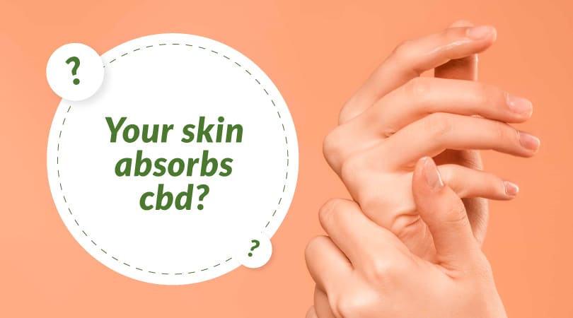 Can CBD Be Absorbed Through the Skin?