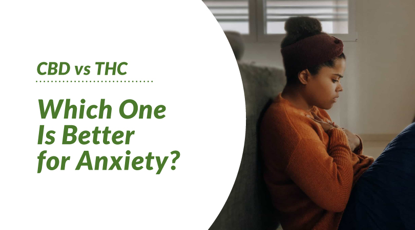 CBD vs. THC - Which One Is Better for Anxiety?