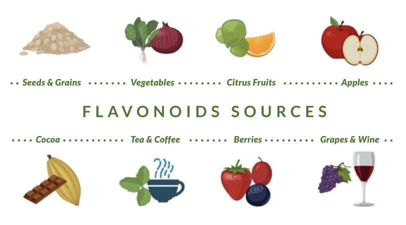 Sources of flavonoids such as seeds and grains, vegetables, citrus fruits, apples, cocoa, tea and coffee, berries, and grapes and wine.