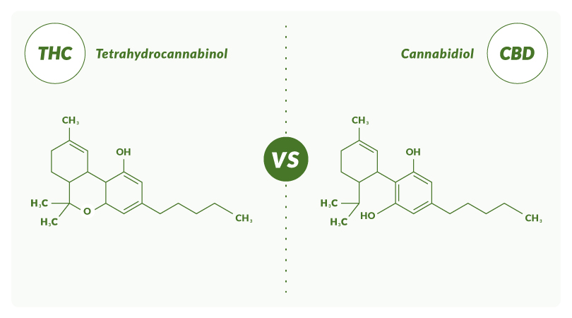 Chemical structure of THC versus the chemical structure of CBD.