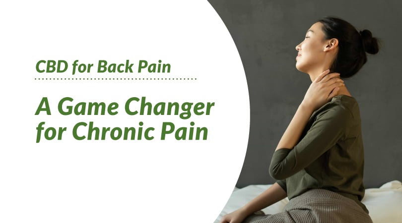 CBD for Back Pain - A Game Changer for Chronic Pain.