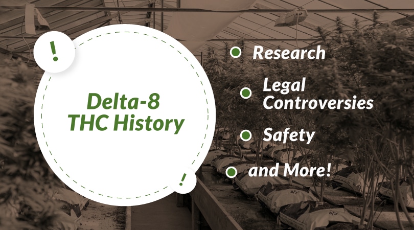 Featured image for “Delta-8 THC History – Research, Legal Controversies, Safety, and More!”