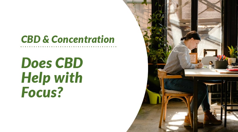 CBD & Concentration - Does CBD Help with Focus?