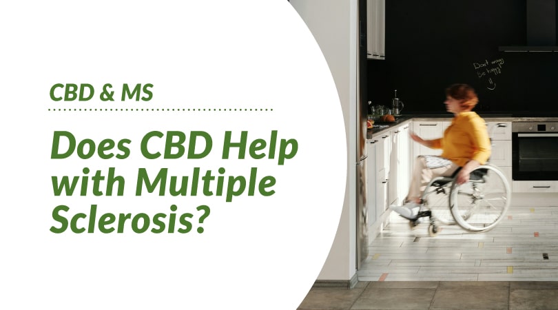 Featured image for “Does CBD Help with Multiple Sclerosis – There Might Be Hope on the Horizon”