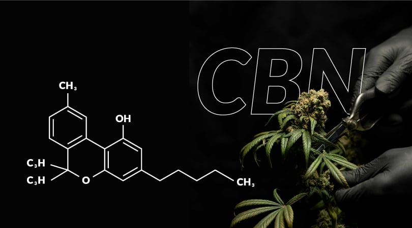 CBN molecule with a hand holding a hemp leaf in the background.