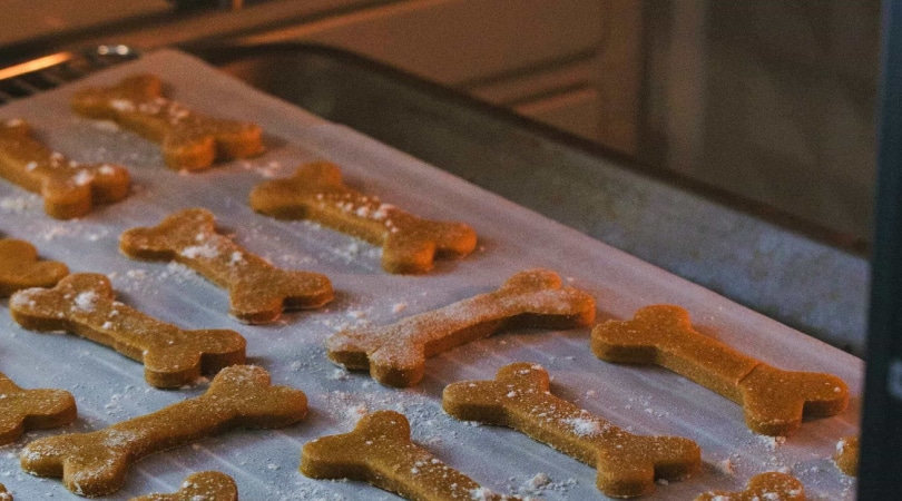 Tray with homemade CBD dog treats.