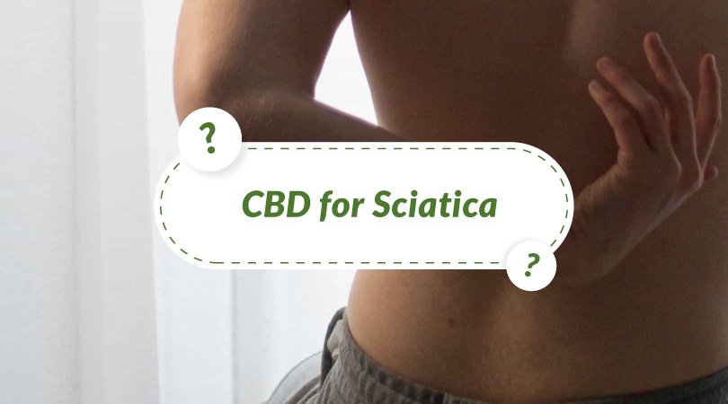 CBD for Sciatica?