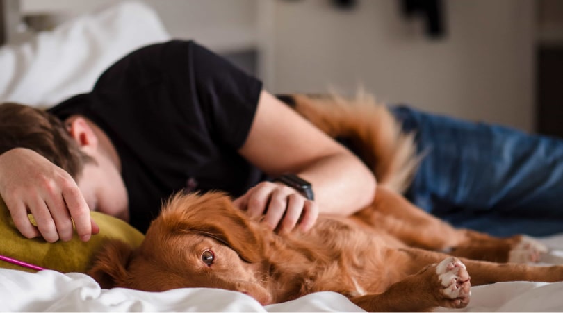 Man lying on a bed with a dog.