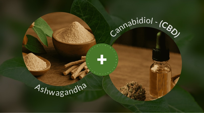 Raw ashwagandha juxtaposed to a bottle of CBD oil.