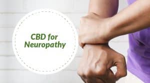 ZenLeaf CBD Gummies Reviews: Is It An Effective Pain Relief Formula?