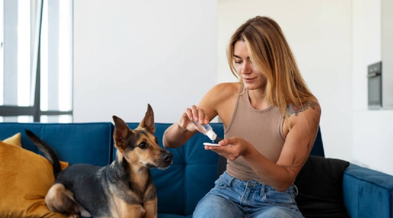 Woman giving cbd oil to a dog with separation anxiety.