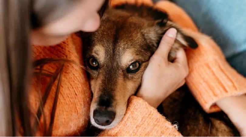 Woman hugging a dog with separation anxiety.