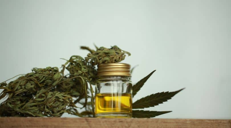 If you’re ready to explore safe, trusted options, check out our CBD oil for pets, CBD drops, and canine CBD products at VitalityCBD. 