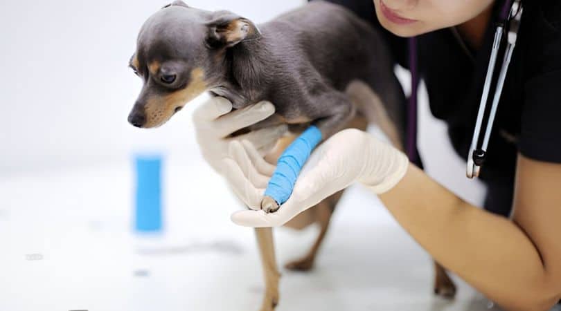 Past trauma from abandonment or neglect