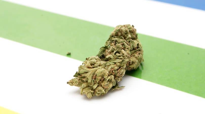 I’ve had evenings where a smooth indica-heavy Delta 8 bud helped me let go of stress, and mornings where a citrusy sativa strain made work feel less like work. 